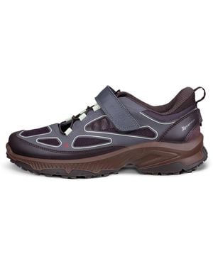 Ecco Receptor Xp - Grau