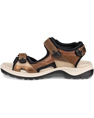 Ecco Offroad - White
