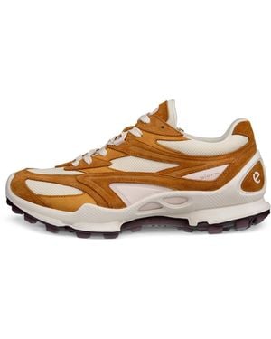 Ecco Biom C-Trail - Brown