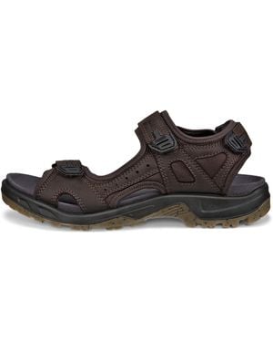 Ecco Offroad - Schwarz