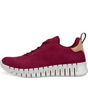 Ecco Gruuv - Purple