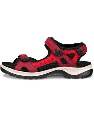 Ecco Offroad - Rot