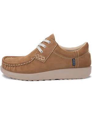 Ecco Joke - Braun