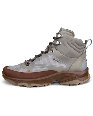 Ecco Receptor Xp - Brown