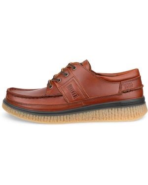 Ecco Walker 3.0 - Braun