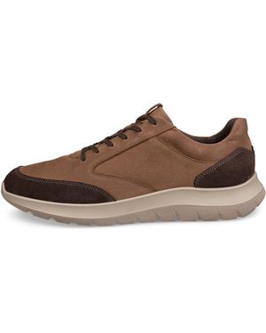 Ecco City Stride - Braun