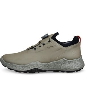 Ecco Golf Biom H5 - Grau