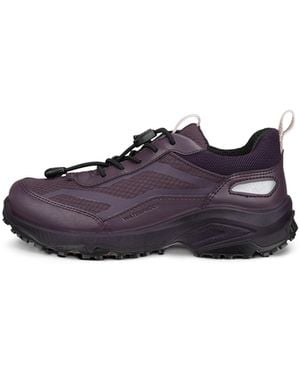 Ecco Receptor Xp - Lila