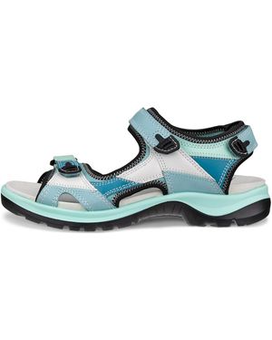 Ecco Offroad - Green