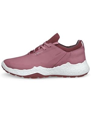 Ecco Golf Biom H5 - Purple