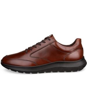 Ecco City Stride - Brown