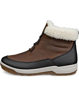 Ecco Trace Lite Wp/Wl Low Boot - Brown