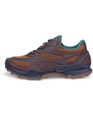 Ecco Biom C-Trail - Brown