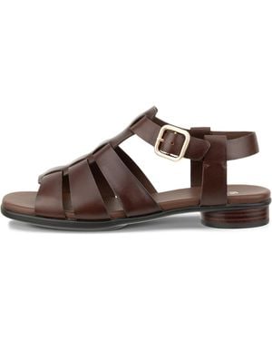 Ecco Sculpted Alba 25 - Brown