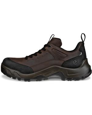 Ecco Offroad - Black
