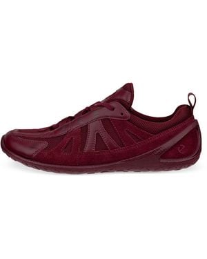 Ecco Biom Lite - Purple