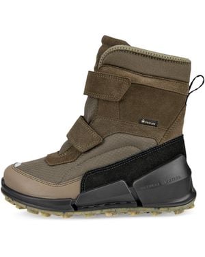Ecco Biom K2 - Grün