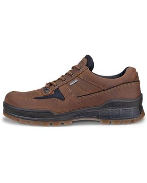 Ecco Track 25 - Braun