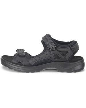 Ecco Offroad - Black