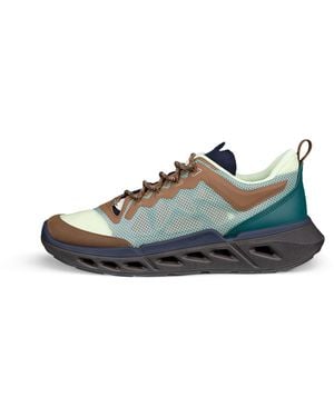 Ecco Biom 720 Breathru - Green