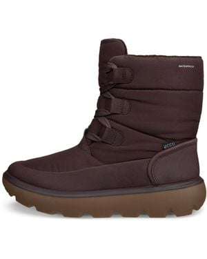 Ecco Glacia - Brown
