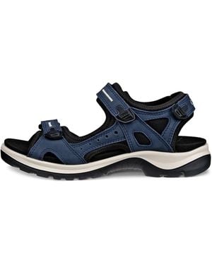 Ecco Offroad - Blue