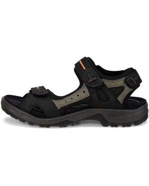 Ecco Offroad - Black