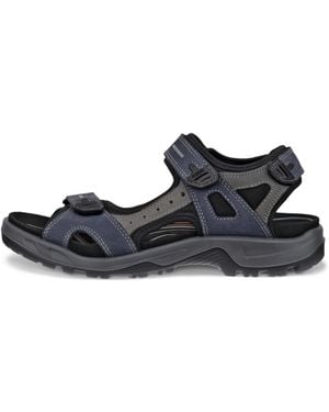 Ecco Offroad - Black
