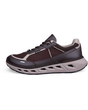 Ecco Biom 720 - Braun