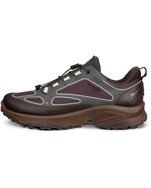 Ecco Receptor Xp - Brown