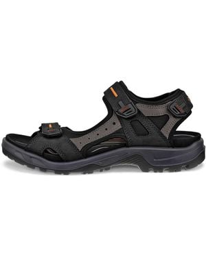 Ecco Offroad - Black