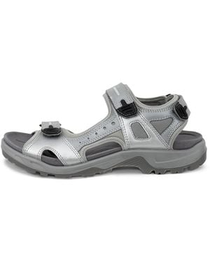 Ecco Offroad - Grau