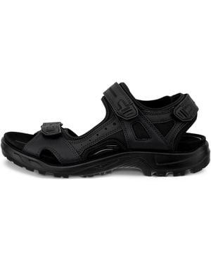 Ecco Offroad - Black