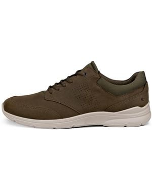 Ecco Irving - Brown