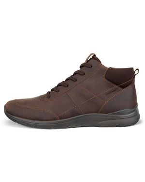 Ecco Irving - Braun