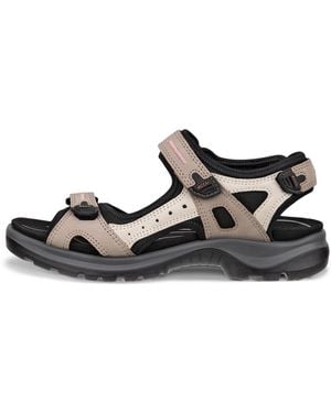 Ecco Offroad - Black