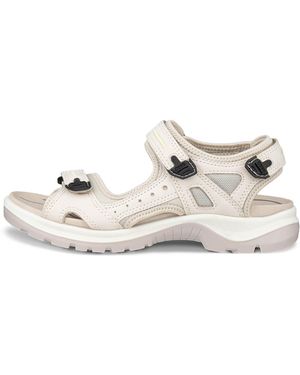 Ecco Offroad - Mettallic