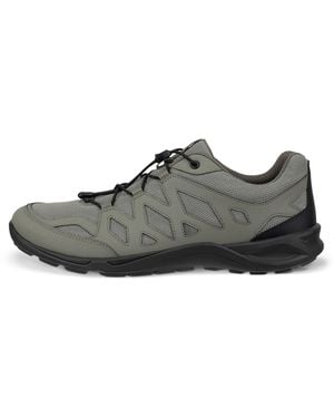 Ecco Terracruise Lt - Green