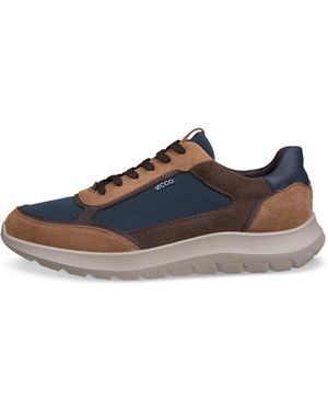 Ecco City Stride - Brown