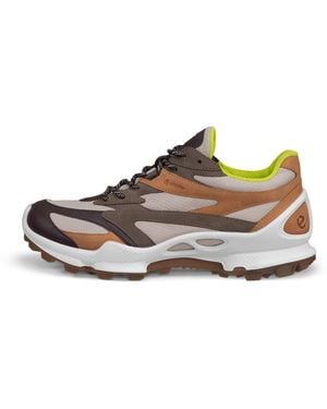 Ecco Biom C-Trail - Brown