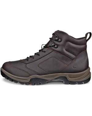 Ecco Xpedition Iii - Braun