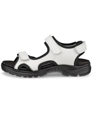 Ecco Hike - White