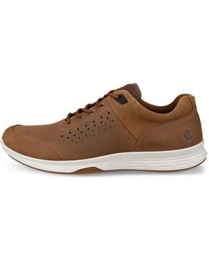Ecco Exceed - Brown