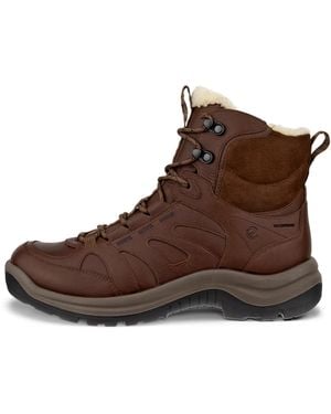 Ecco Offroad - Brown