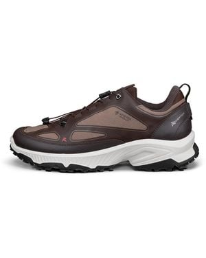 Ecco Receptor Xp - Brown
