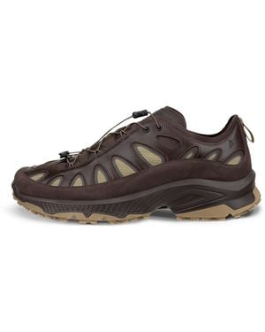 Ecco Wm Receptor Xp - Brown
