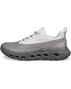 Ecco Biom 720 - Grey