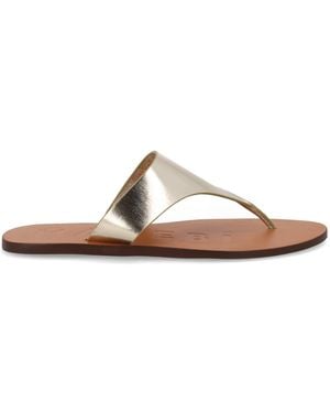 Manebí Sandalo Infradito - Brown