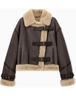 Emporio Armani Leather Blouson With A Shearling Collar And Buckle Straps - Brown