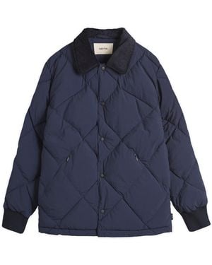 Kestin Dunbar Padded Jacket - Blue